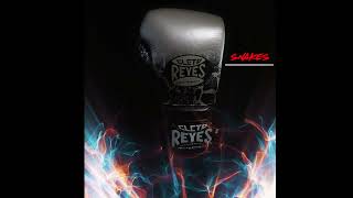 Cleto Reyes Training Boxing Gloves with Hook and Loop Closure Snake [upl. by Rentsch]