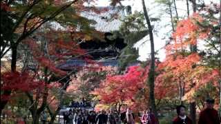 Autumn leaves at Keage and Nanzenji 【HD】 [upl. by Janella]