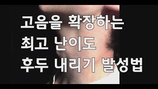 성악발성 레슨24 고음을 확장하는 최고 난이도 후두 내리기 발성법 [upl. by Ytsirk479]