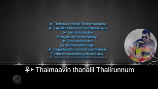 Thaimavin thanalil karaoke with synced lyrics add [upl. by Nwahsid]