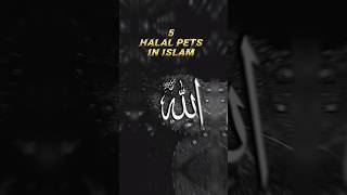 ☝️5HALAL PETS IN ISLAM💯edit naat shortvideo islamicvideo short halal haram video feed [upl. by Lj]