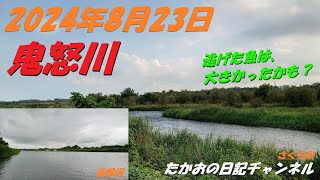 2024年8月23日 鬼怒川（高根沢、さくら市） [upl. by Ynatirb561]