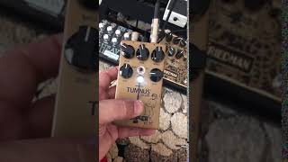 Wampler Tumnus Deluxe  Popping Noise [upl. by Twitt]