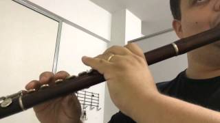 Rosewood flute [upl. by Ahsitam]