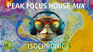 Peak Focus For Complex Tasks House Turtle Mix with Isochronic Tones [upl. by Eceinahs733]