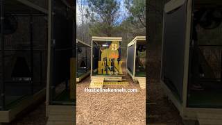 How we assembled our outdoor dogpet kennels for Boosie Badazz dogkennel petkennel boosiebadazz [upl. by Nilla]