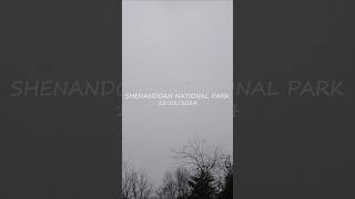 Shenandoah National Park in winter hits different shenandoahnationalpark virginia travel [upl. by Kifar]