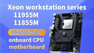 Official version of Xeon workstation series 11955M11855M Erying MoDT onboard CPU motherboard [upl. by Andra]