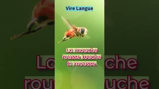 Vire Langue Let us learn French apprendrelefrançais virelangue tonguetwisterchallenge [upl. by Nomar]