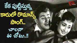 Chalada Ee Chotu Song  Kanchana Krishna Full Rain Song  Nenante Nene Movie  Old Telugu Songs [upl. by Yrrehc]