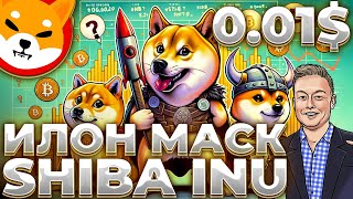 SHIBA INU ИЛОН МАСК ПАМПИТ НОВЫЙ КАТАЛИЗАТОР SHIB SHIB 001 [upl. by Abernathy]