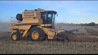 Finished Wheat Onto Heavy Canola [upl. by Aneekat]