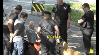 PÂNICO TROLLAGENS ANÃO TOKINHO APAVORADO EM BATIDA POLICIAL [upl. by Petty748]