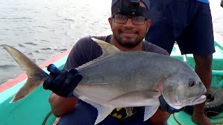 Fishing for Giant Trevally amp Mangrove Jack in Offshore and inshore [upl. by Suelo]