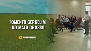 FOMENTO DA CADEIA PRODUTIVA DO GERGELIM NO MATO GROSSO [upl. by Sedberry]