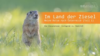 Im Land der Ziesel  Urlaub in Österreich Teil 1 Die Zieselwiese Instagram vs Realität  Vlog [upl. by Atiuqan]