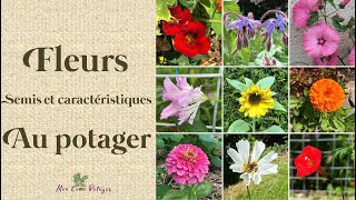 Pourquoi et comment semer les 9 fleurs utiles au potager [upl. by Mayworm]