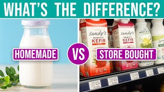 HOMEMADE KEFIR vs STORE BOUGHT KEFIR • Are you being misled [upl. by Evyn]