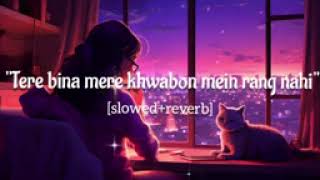 tere Bina merekhwabon mein rang nahi slowedreverb lofimusic lofi like comment shar subscribe [upl. by Enimzaj]