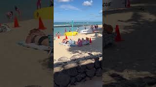 Waikiki beach Hawaii paradise vacation honolulu Hawaii [upl. by Enilraep]