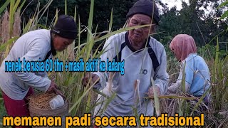 BERMALAM DI HUTAN MENYELAM SUNGAI MENCARI IKAN UNTUK KEGIATAN MEMANEN PADI [upl. by Franklin241]