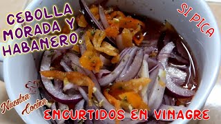 cebolla morada con habanero en vinagre salsa Yucateca xnipec Variante  vinagre y aceite de oliva [upl. by Llertak]