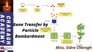 Gene Transfer by Particle Bombardment ✍✍ [upl. by Tillinger]