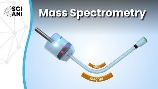 How does mass spectrometry work [upl. by Ebonee]