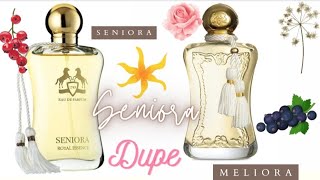 SENIORA royal essence dupe de meliora parfums de marly [upl. by Ariad280]