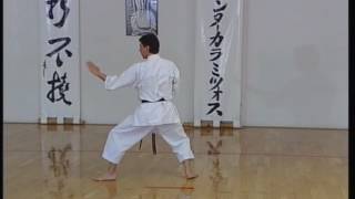 Shotokan  Bassai Dai [upl. by Lerrad]