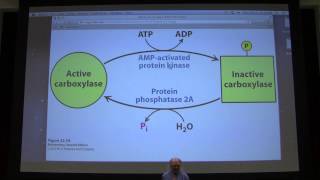 37 Kevin Aherns Biochemistry  Fat and Fatty Acid Metabolism II [upl. by Horten]