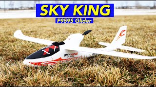 Easy to Fly RC Powered Glider Plane for Beginners  Plenty of Fun Sky King F9595 WLToys [upl. by Pros499]