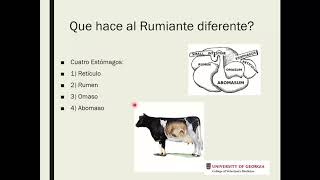 Curso Básico Nutrición en Rumiantes MULTIMIN [upl. by Sheree]