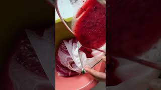 Fresh and Organic Plum Juice Recipe  Juicer amp Blender [upl. by Elisee465]