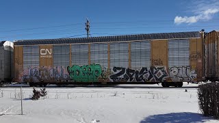 CSX  Cold AM turns into Sunny Winters Day Pass trainspotting [upl. by Etennaej710]