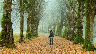 I found so many little treasures along the ancient fairy tale path Metal Detecting Germany Nr202 [upl. by Hepzi206]