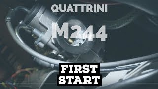 vespa QUATTRINI M244 very FIRST start  FMPguides  Solid PASSion [upl. by Brace847]