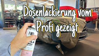 Mit der Spraydose lackieren geht das  Dosenlackierung [upl. by Aisel]