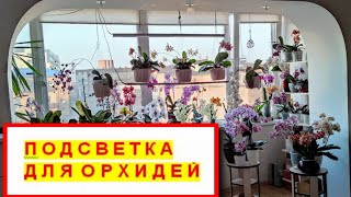 ПОДСВЕТКАДОСВЕТКА для орхидей ОСВЕЩЕНИЕ для ОРХИДЕЙ СВЕТИЛЬНИКИ для подсветки ОРХИДЕЙ НАГЛЯДНО [upl. by Bohman]