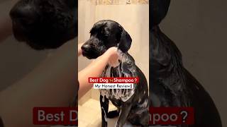 Best Dog 🦮 Shampoo❓ My Honest Review❗️ [upl. by Matrona]