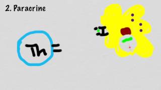 Mechanisms Of Cytokine Signaling [upl. by Dahs]