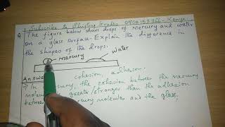 COHESIVE AND ADHESIVE FORCES IN MERCURY AND WATER MOLECULES [upl. by Atikihc784]