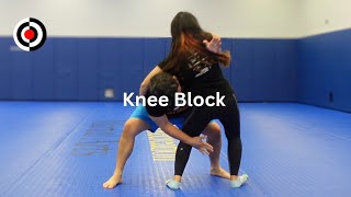 Advanced Sanda Knee Block Counter [upl. by Ramed60]