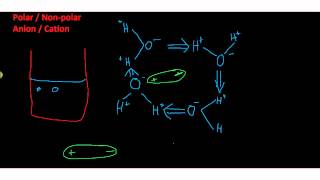 Hydrophilic hydrophobic [upl. by Decamp48]