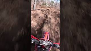 Mid pack c class action netra harescramble midpackcclass gasgas dirtbike [upl. by Mcdougall]