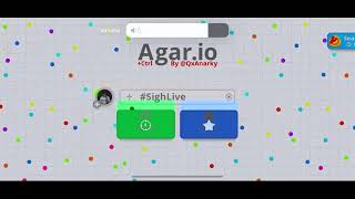 AGARIOIO LIVE SighWrld Join Up region is in chat pinned [upl. by Nylidam]