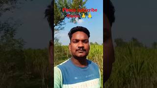 🥰🥰 tum chupa na sako gi main wo raaj hoon trending shortvideos viralvideos short viralshorts [upl. by Griff]