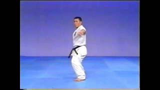 Kyokushin Karate Kata  Pinan Sono San [upl. by Nawed]