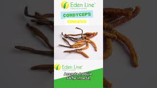 Cordyceps Sinensis  quotAurulquot Himalayan [upl. by Northrop]