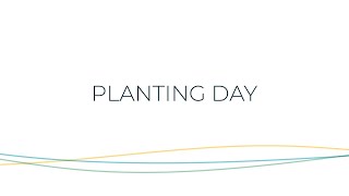 Planting Day at Empathyco [upl. by Oirasec125]